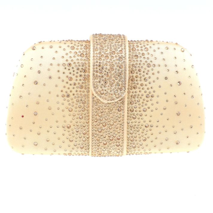 Fashion Evening Clutch Bag