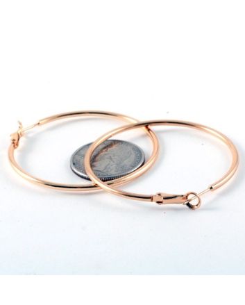 Fashion Hoop Earrings