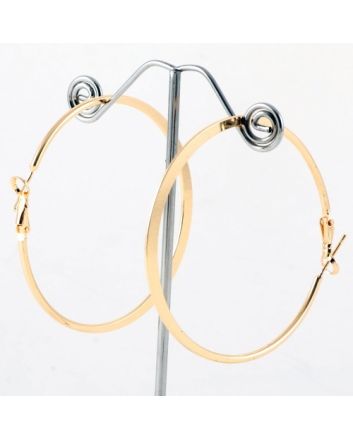 Fashion Hoop Earrings