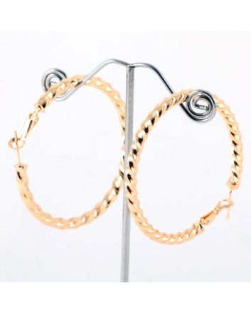 Fashion Hoop Earrings