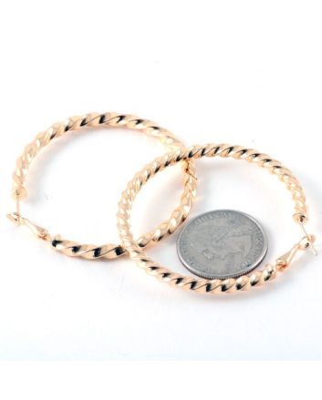 Fashion Hoop Earrings