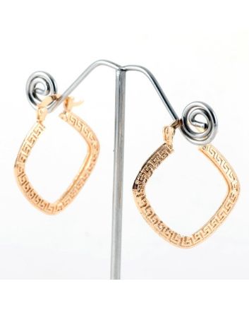 Fashion Hoop Earrings