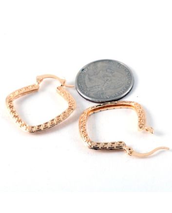 Fashion Hoop Earrings