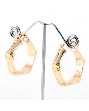 Fashion Hoop Earrings