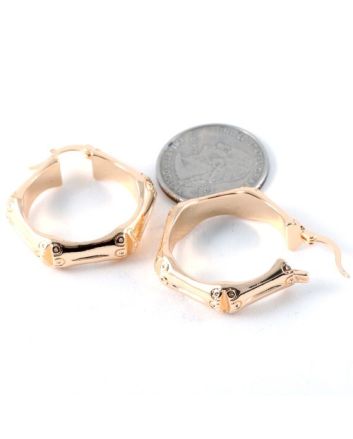 Fashion Hoop Earrings