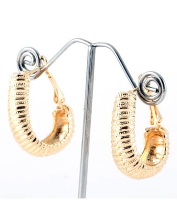 Fashion Hoop Earrings