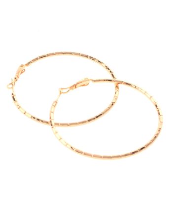 Gold Plated Hoop Earrings