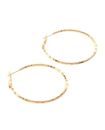 Gold Plated Hoop Earrings