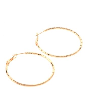 Gold Plated Hoop Earrings