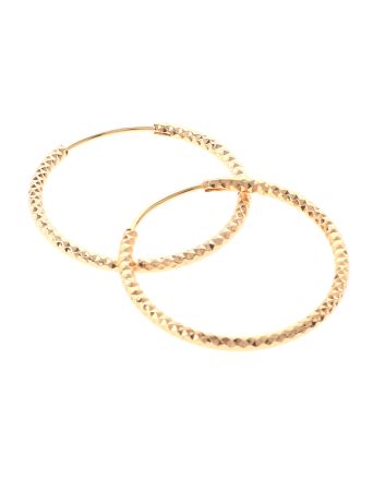 Gold Plated Hoop Earrings