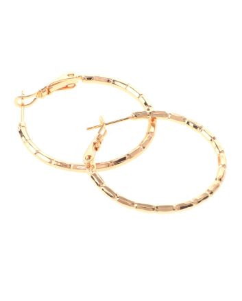 Gold Plated Hoop Earrings