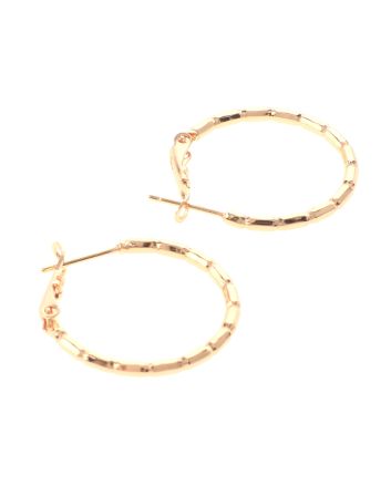 Gold Plated Hoop Earrings