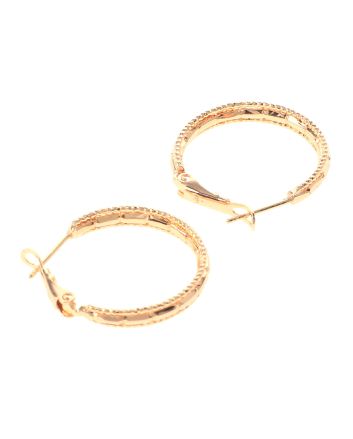 Gold Plated Hoop Earrings