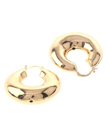 Gold Plated Drop Earrings