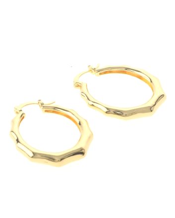 Gold Plated Drop Earrings