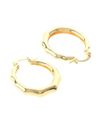 Gold Plated Drop Earrings