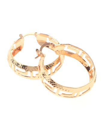 Gold Plated Hoop Earrings