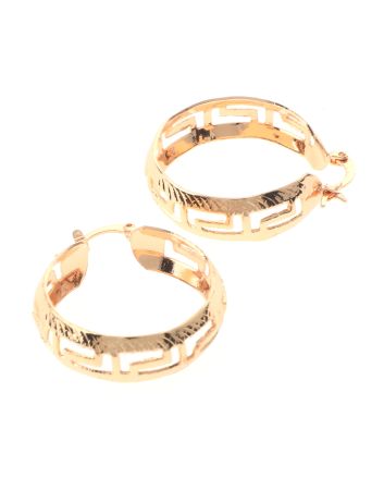 Gold Plated Hoop Earrings