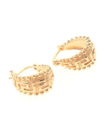 Gold Plated Hoop Earrings