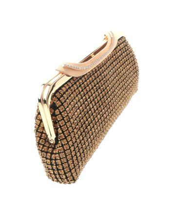 Rhinestones Evening Bag