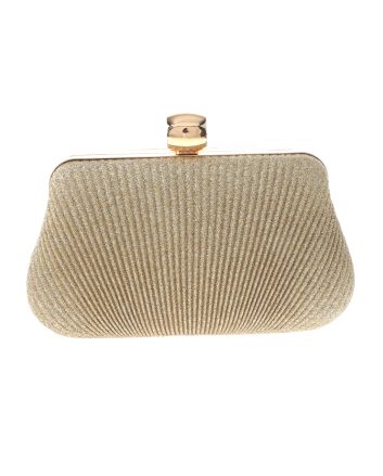 Fashion Evening Clutch Bag