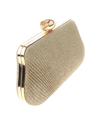 Fashion Evening Clutch Bag