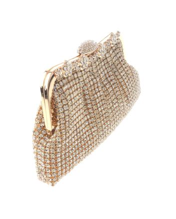 Rhinestones Evening  Bag