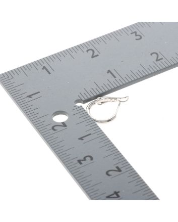 Silver Plated Hoop Earrings
