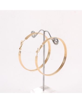Fashion Hoop Earrings