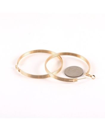 Fashion Hoop Earrings