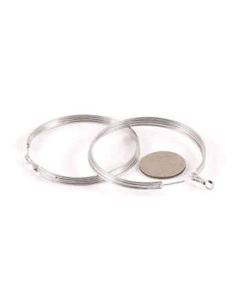 Fashion Hoop Earrings