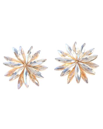 Crystal Post Earrings