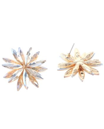 Crystal Post Earrings