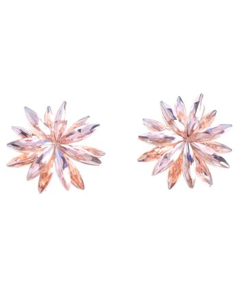 Crystal Post Earrings