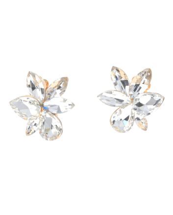 Crystal Clip-On Earrings