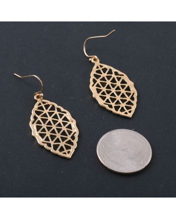 Fashion Hook Earrings
