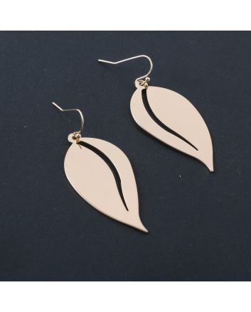 Fashion Hook Earrings