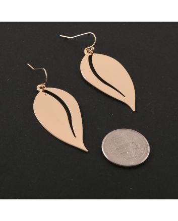 Fashion Hook Earrings