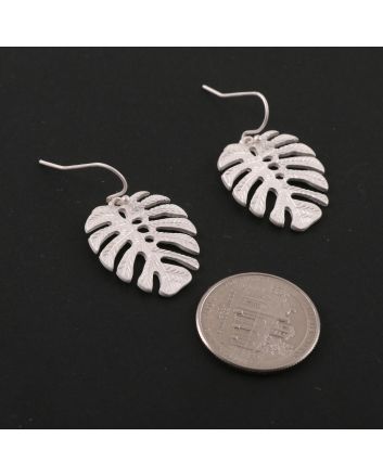 Fashion Hook Earrings