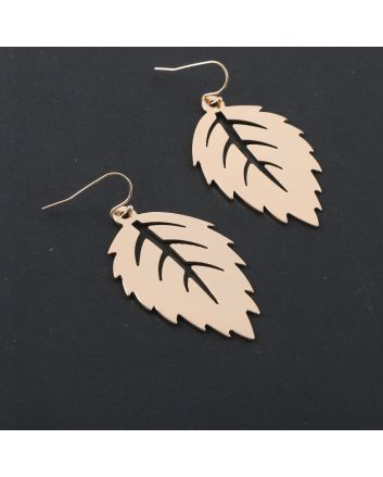 Fashion Hook Earrings