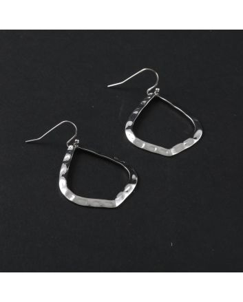 Fashion Hook Earrings