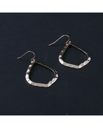 Fashion Hook Earrings