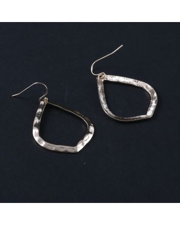 Fashion Hook Earrings