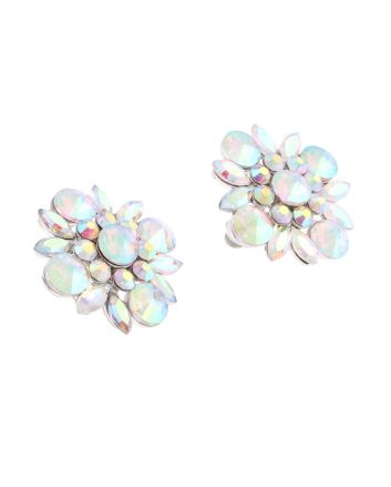 Clip-On Earrings