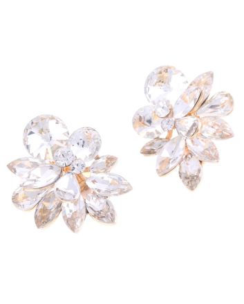 Clip-On Earrings
