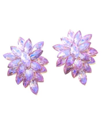 Clip-On Earrings