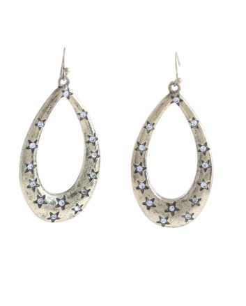 Fashion Hook Earrings