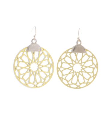 Fashion Hook Earrings