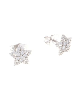 Rhodium Plated Earrings