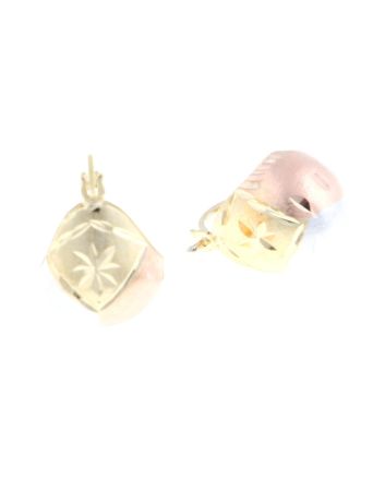 Gold Plated Stud  Earrings